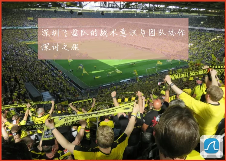深圳飞盘队的战术意识与团队协作探讨之旅