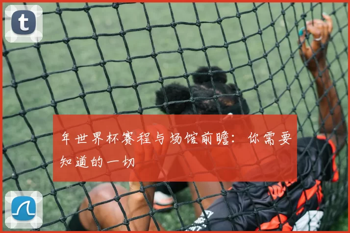 年世界杯赛程与场馆前瞻:你需要知道的一切