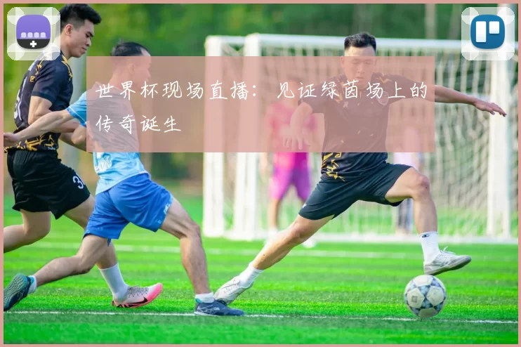 世界杯现场直播：见证绿茵场上的传奇诞生