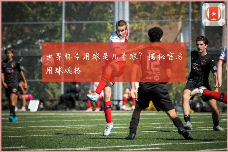 世界杯专用球是几号球?揭秘官方用球规格