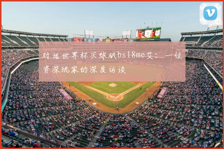 对话世界杯买球矾bs18me艾：一位资深玩家的深度访谈