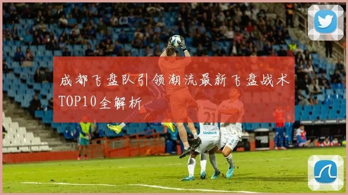 成都飞盘队引领潮流最新飞盘战术TOP10全解析