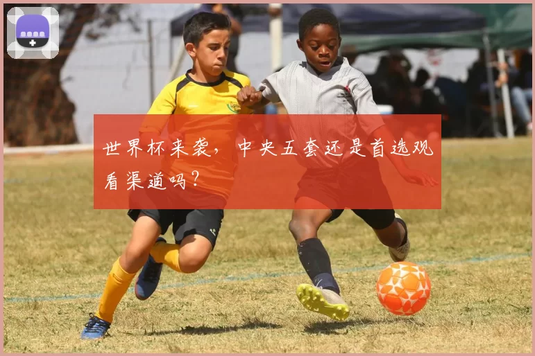世界杯来袭,中央五套还是首选观看渠道吗?