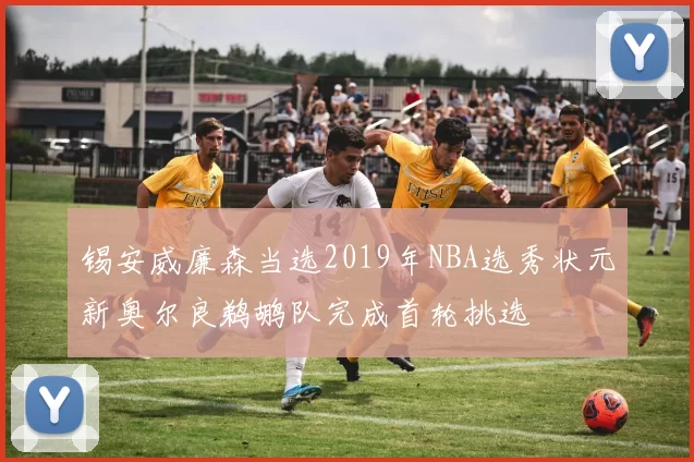 锡安威廉森当选2019年NBA选秀状元新奥尔良鹈鹕队完成首轮挑选