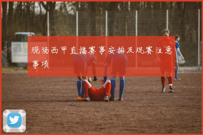 现场西甲直播赛事安排及观赛注意事项