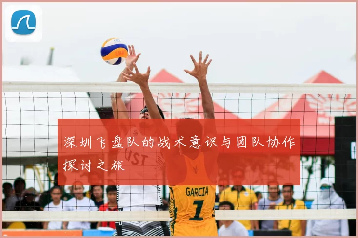 深圳飞盘队的战术意识与团队协作探讨之旅