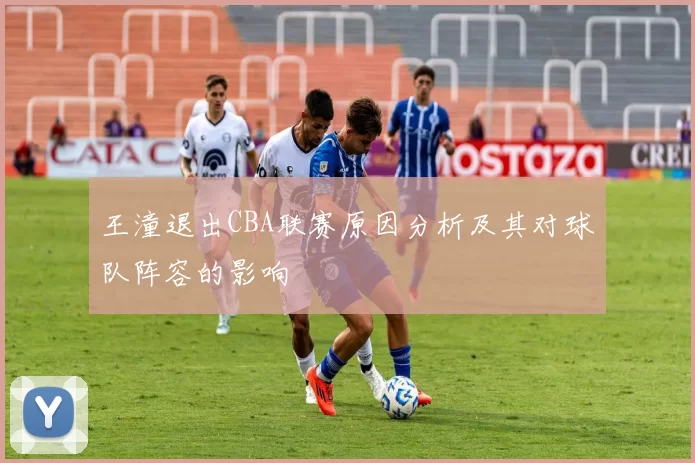王潼退出CBA联赛原因分析及其对球队阵容的影响