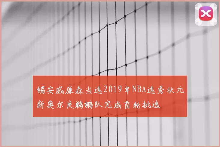 锡安威廉森当选2019年NBA选秀状元新奥尔良鹈鹕队完成首轮挑选