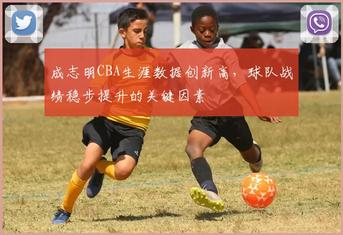 成志明CBA生涯数据创新高,球队战绩稳步提升的关键因素