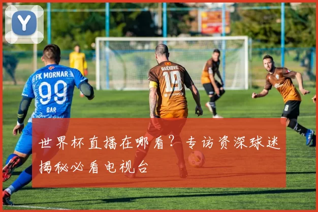 世界杯直播在哪看?专访资深球迷揭秘必看电视台