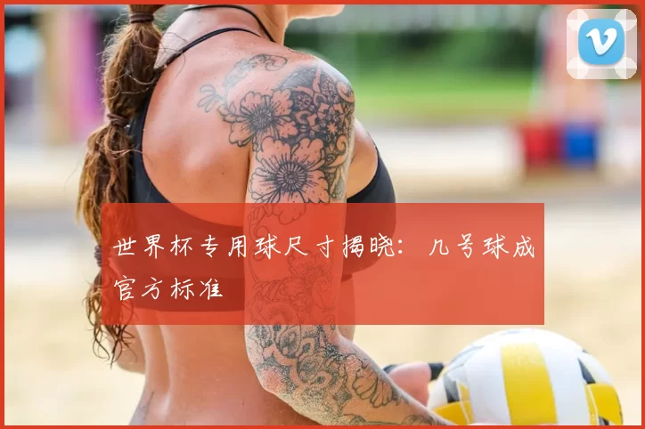世界杯专用球尺寸揭晓:几号球成官方标准