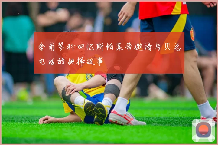 舍甫琴科回忆斯帕莱蒂邀请与贝总电话的抉择故事