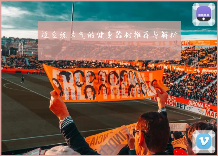 适合练力气的健身器材推荐与解析