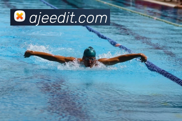 华体网页版平台生态图