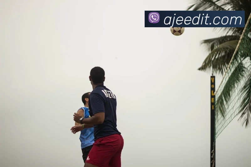 华体网页版全站App